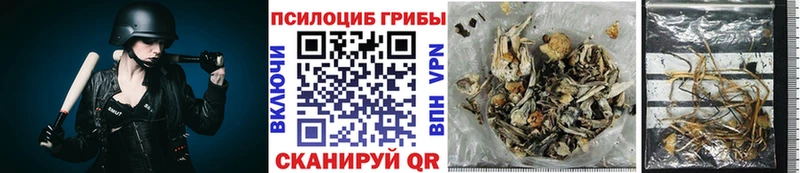 Псилоцибиновые грибы GOLDEN TEACHER Купить Бологое