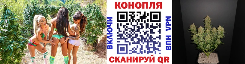 Купить где  Бологое  Канабис Bruce Banner 